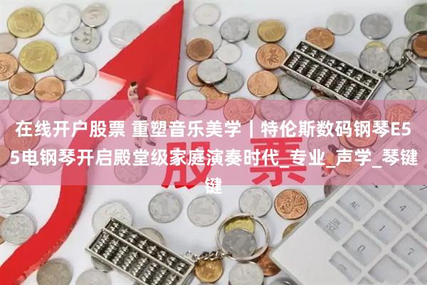 在线开户股票 重塑音乐美学｜特伦斯数码钢琴E55电钢琴开启殿堂级家庭演奏时代_专业_声学_琴键